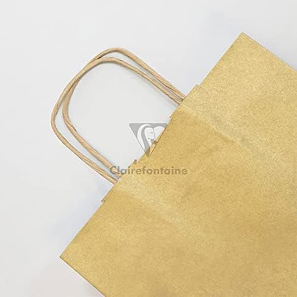 Presentpåsar - CLAIREFONTAINE - 25 påsar - Dimensioner 220x100x270 mm - Slät kraft 100 g/m² - Färg guld