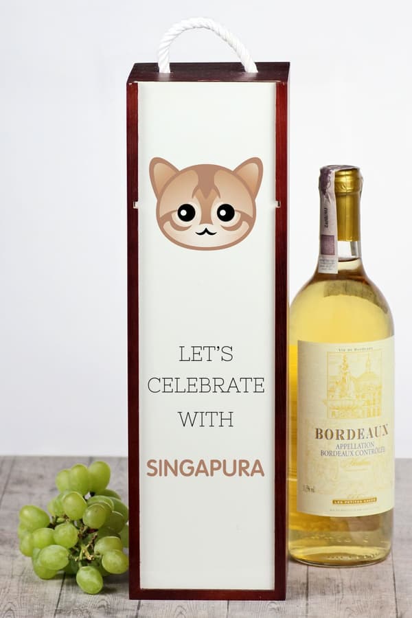 Singapura - viinilaatikko grafiikalla ja Art-Dog -brändin merkinnällä