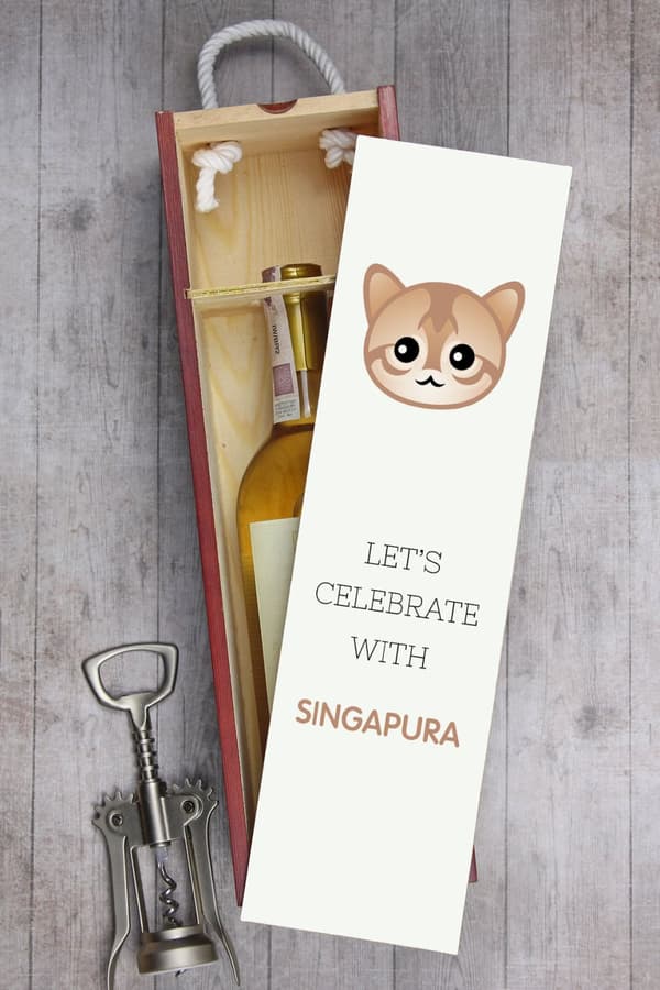 Singapura - viinilaatikko grafiikalla ja Art-Dog -brändin merkinnällä