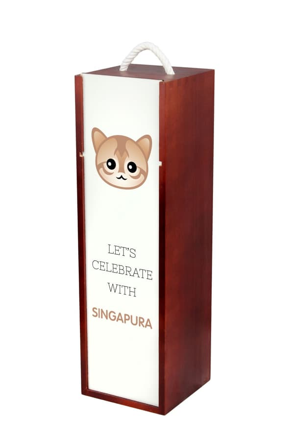 Singapura - viinilaatikko grafiikalla ja Art-Dog -brändin merkinnällä