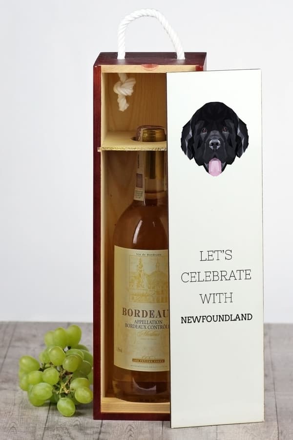Newfoundland, Newfoundland, Wodołaz - en geometrisk låda med ett foto och en inskription för vin av Art-Dog