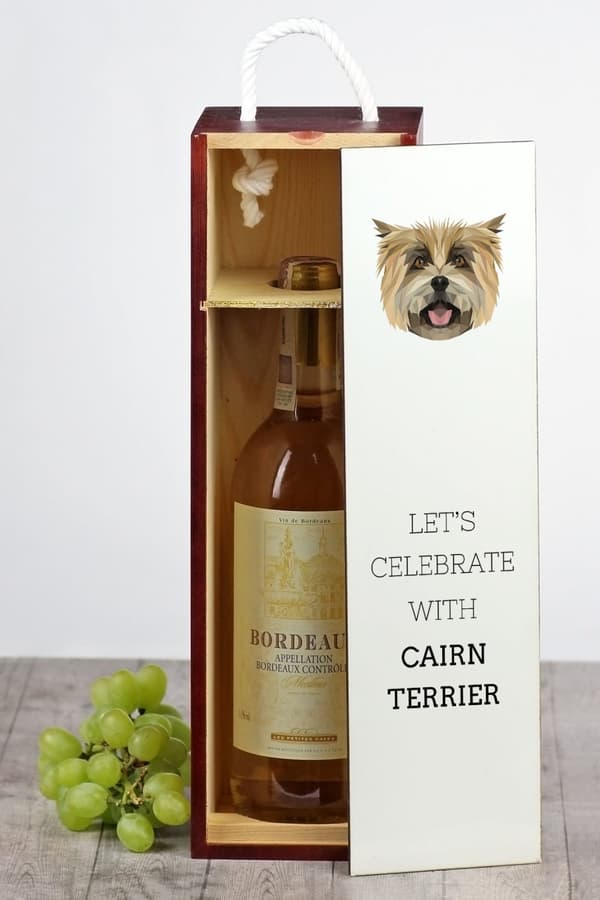 Cairn Terrier - en geometrisk kasse med et foto og en inskription til Art-Dog vin