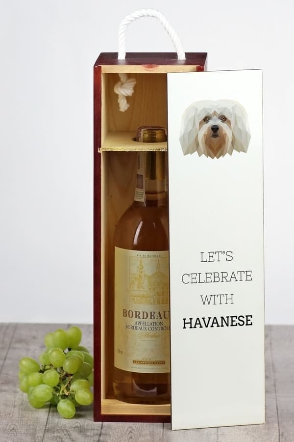 Havanese, Havanese - en geometrisk æske med et foto og en inskription til Art-Dog vin