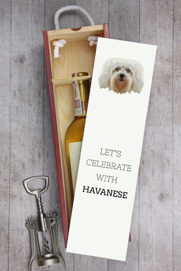 Havanese, Havanese - en geometrisk æske med et foto og en inskription til Art-Dog vin