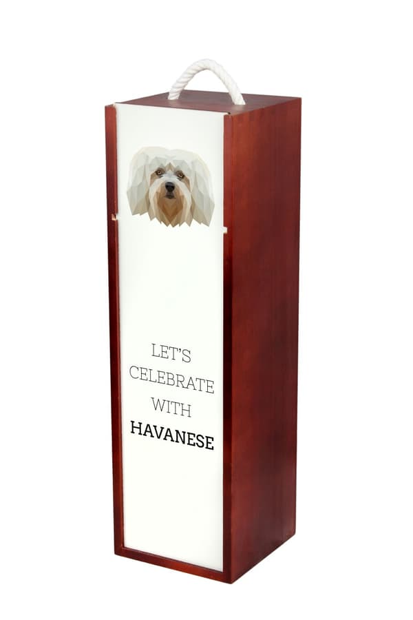 Havanese, Havanese - en geometrisk æske med et foto og en inskription til Art-Dog vin