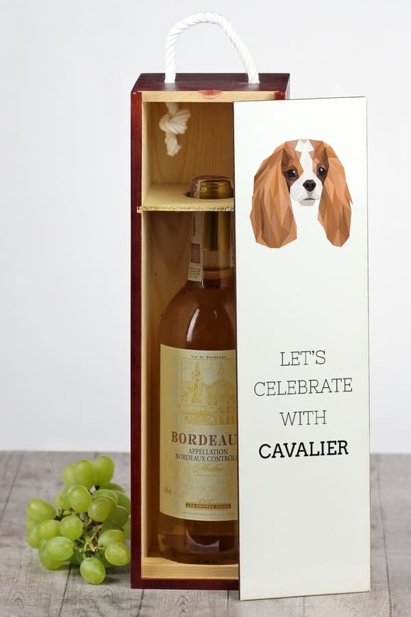 Cavalier King Charles Spaniel - en geometrisk æske med et foto og en inskription til Art-Dog vin