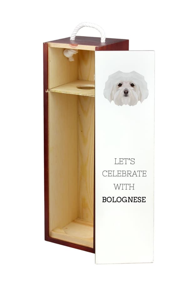 Bolognese, Bolognese - geometrinen laatikko, jossa on valokuva ja kirjoitus Art-Dog -viinille