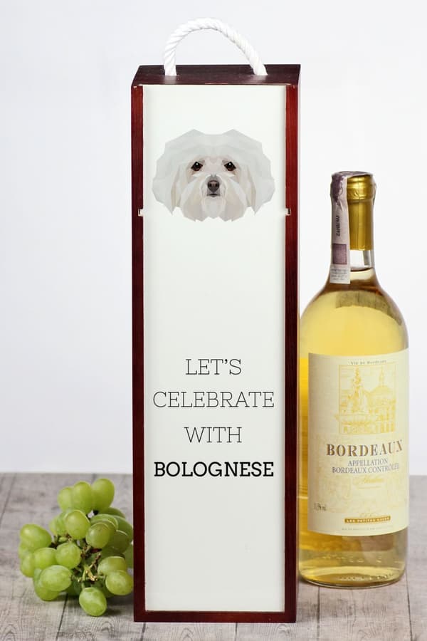 Bolognese, Bolognese - geometrinen laatikko, jossa on valokuva ja kirjoitus Art-Dog -viinille