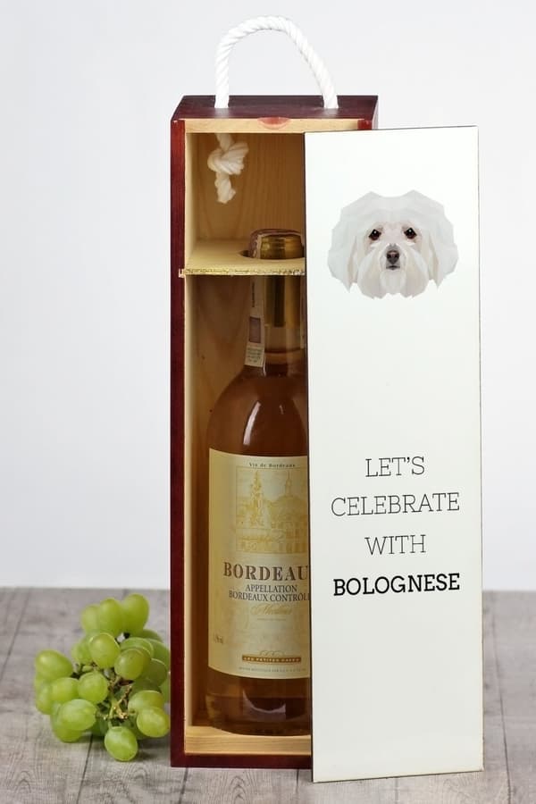 Bolognese, Bolognese - geometrinen laatikko, jossa on valokuva ja kirjoitus Art-Dog -viinille
