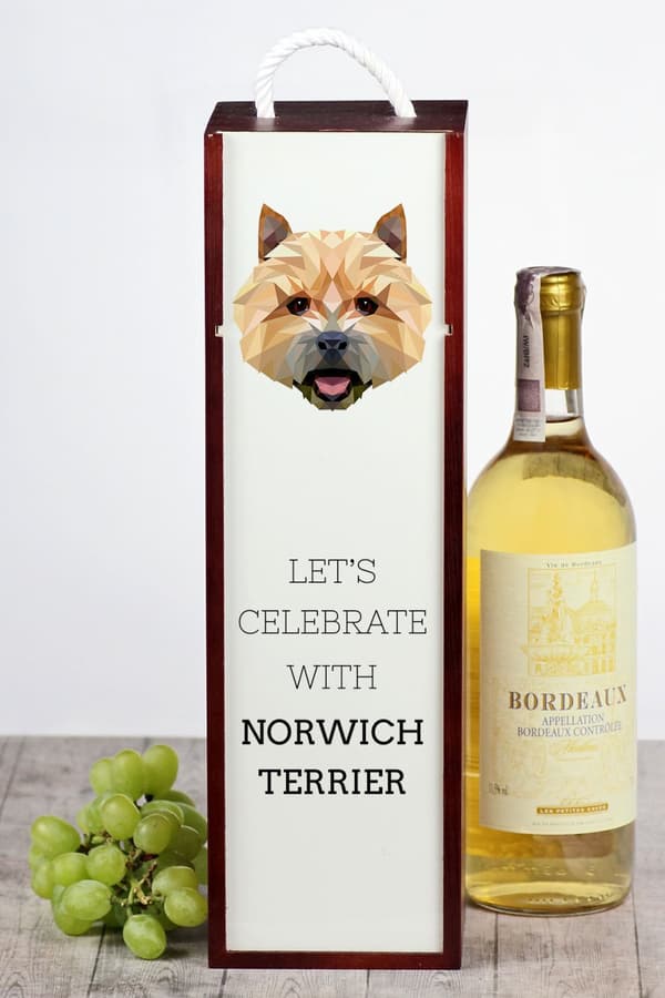 Norwich Terrier - geometrinen laatikko, jossa on valokuva ja kirjoitus Art-Dog -viinille