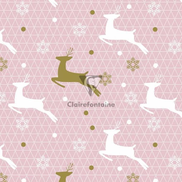 Clairefontaine - 201965AMZC - En låda med 10 rullar Excellia presentpapper 5mx0m70 80g, diverse Cocooning-designer