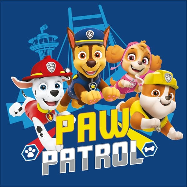 Paw Patrol Team Handduk – Ansiktshandduk och Badhandduk (30x30 cm)