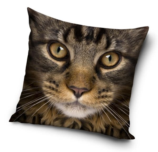 Kattörngott 40*40 cm