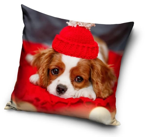 Hund kuddfodral 40×40 cm