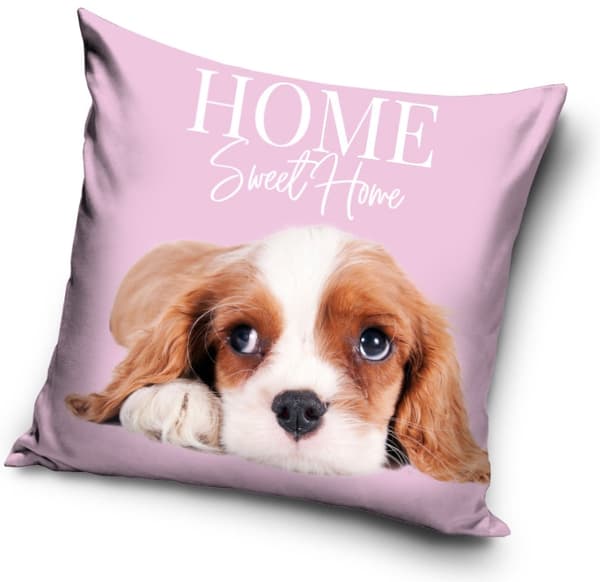 Hund kuddfodral 40×40 cm