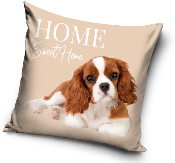 Hund kuddfodral 40×40 cm