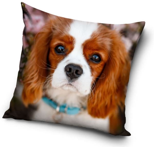 Hund kuddfodral 40×40 cm