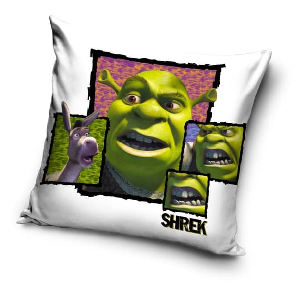 Shrek kuddfodral 40x40 cm i sammet