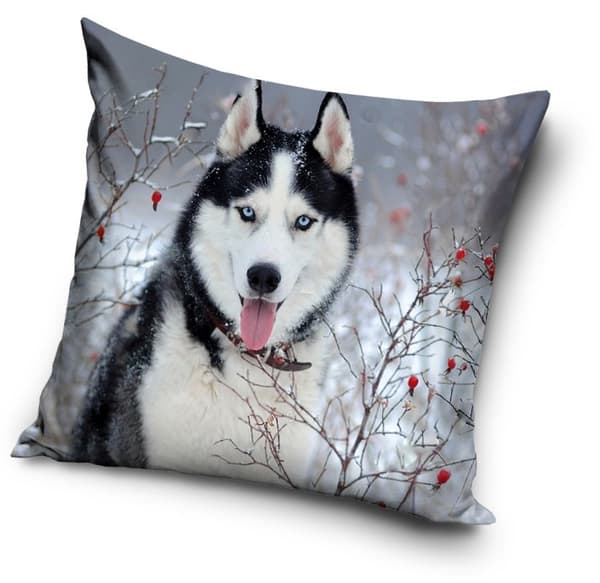 Hund dekorationskudde 40×40 cm