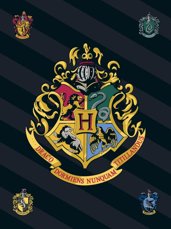 Harry Potter fleecefilt 100*140 cm - Mjuk och mysig för alla fans
