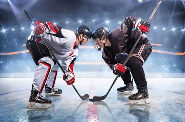 Hockeyfilt Polar 100x140 cm - Perfekt för kalla vinternätter!