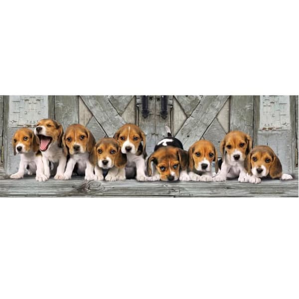 Beagle Hundar 1000-bitars panoramapussel
