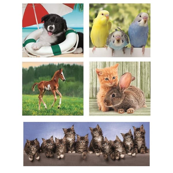 Animals Friends 10-i-1 pussel