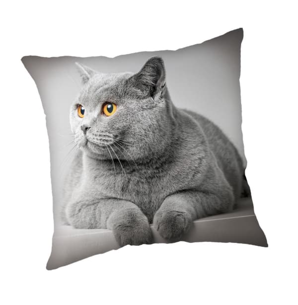 Grå kattkuddfodral 45x45 cm