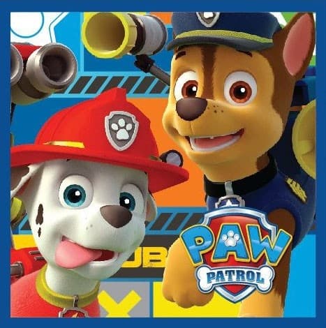 Paw Patrol Magisk Handduk Ansiktshandduk, 30x30 cm Handduk