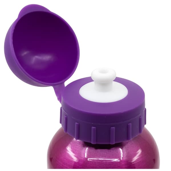 Paw Patrol Skiss Aluminiumflaska 400 ml