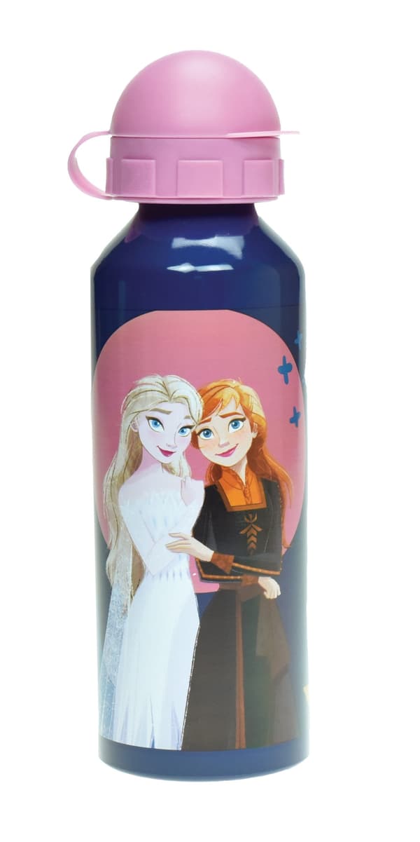 Aluminiumflaska 520 ml Disney Frost tillsammans