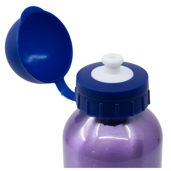 Disney Frost - Trust The Journey aluminiumflaska 400 ml