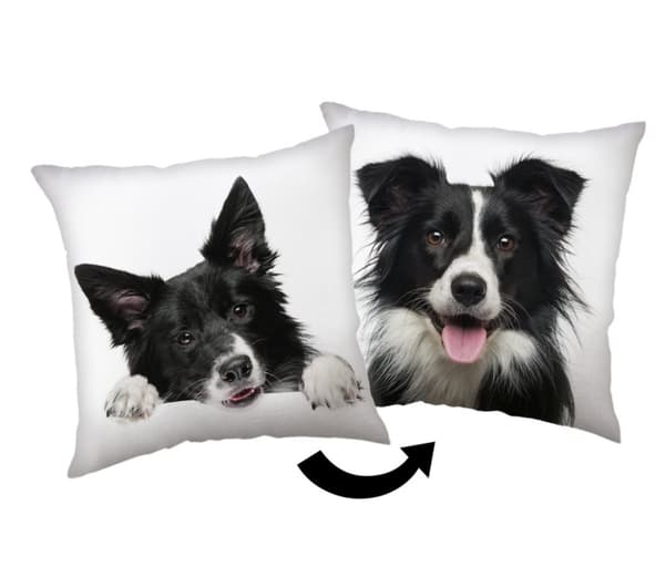 Dekorativ kudde med Border Collie-motiv 40x40 cm
