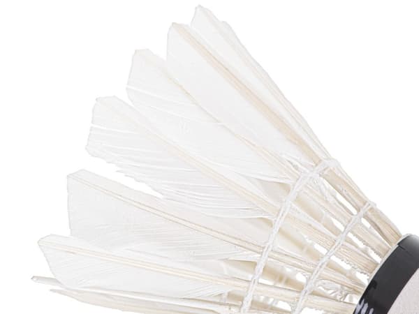 Badmintonfjäderpilar 3 st