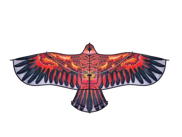 Enorm Eagle kite 160cm + lina