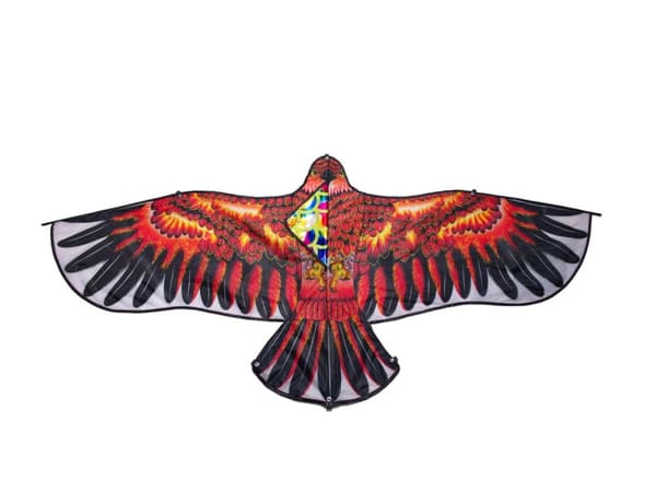 Enorm Eagle kite 160cm + lina