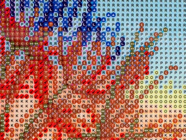 Diamantbroderi mosaik set 5D maskros