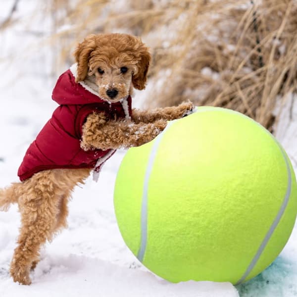 Stor Tennisboll / Hundleksak - Leksak för Hund - 24 cm
