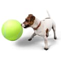 Miniatyrbilde 4 av 6: Stor Tennisboll / Hundleksak - Leksak för Hund - 24 cm