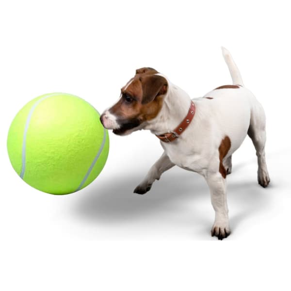 Stor Tennisboll / Hundleksak - Leksak för Hund - 24 cm