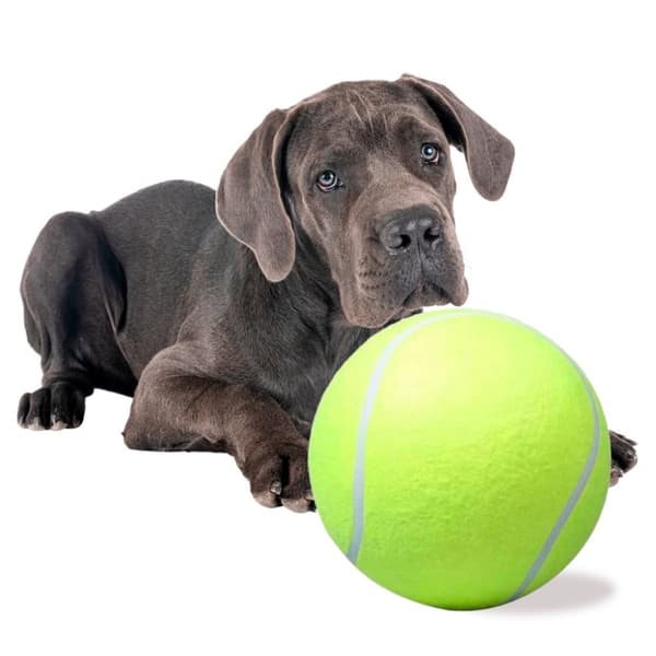 Stor Tennisboll / Hundleksak - Leksak för Hund - 24 cm