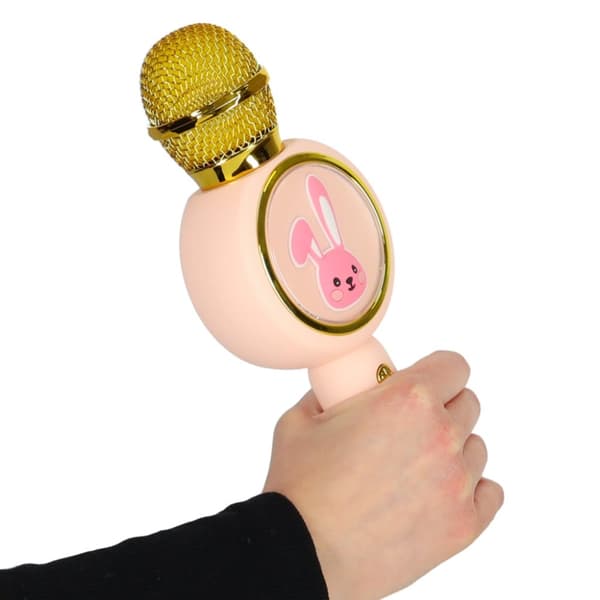 Trådlös mikrofon för karaoke-kaninen