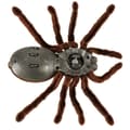Miniatyrbillede 4 af 9: Fjärrstyrd TARANTULASpindel + PILOT