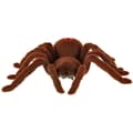 Miniatyrbillede 7 af 9: Fjärrstyrd TARANTULASpindel + PILOT