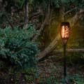 Miniatyrbilde 6 av 7: Solcellsdrivna trädgårdslampor 12 LED 4 st.
