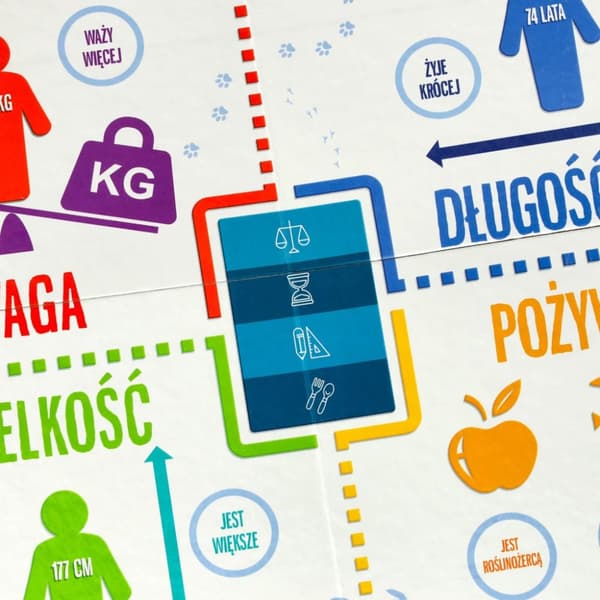 Pedagogiskt spel På toppen av spelet för den nyfikne 8+ MULTIGRA