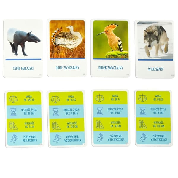 Pedagogiskt spel På toppen av spelet för den nyfikne 8+ MULTIGRA