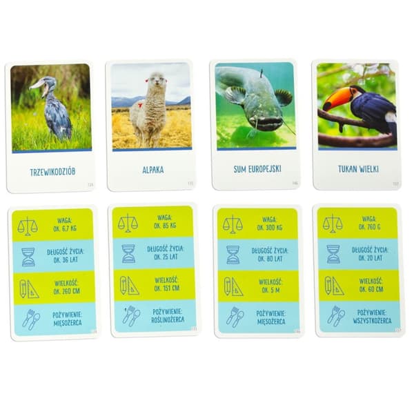 Pedagogiskt spel På toppen av spelet för den nyfikne 8+ MULTIGRA