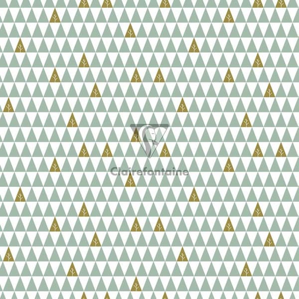 Clairefontaine - 201965AMZC - En låda med 10 rullar Excellia presentpapper 5mx0m70 80g, diverse Cocooning-designer