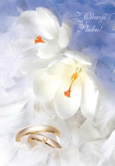 PROMO tickets golden opportunity p5 Wedding Verte price for 1 pc